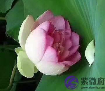传统风水浅谈一二之择日法