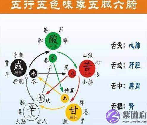 【易学知识】五行生克辩证关系，五行属性实质类像与行业介绍