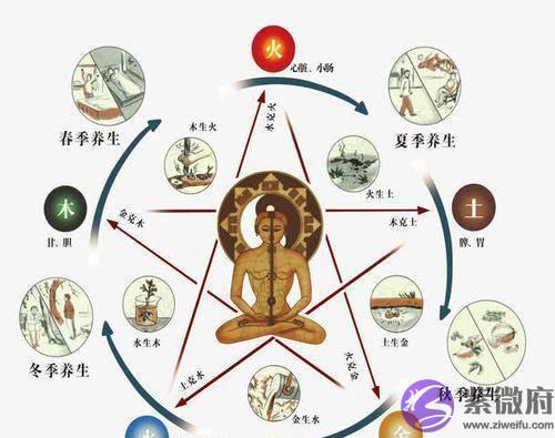 【易学知识】五行生克辩证关系，五行属性实质类像与行业介绍