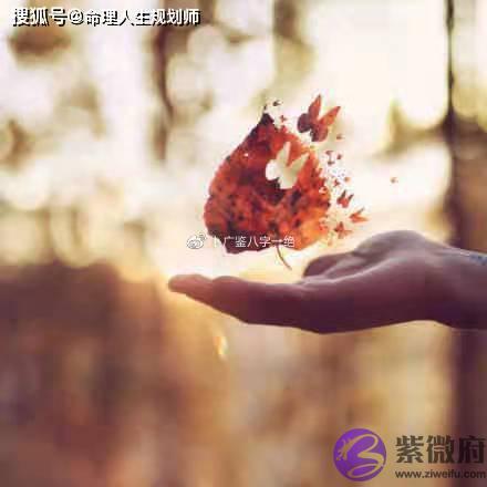 财运生辰看财运，驿马逢冲，非要忙碌奔波才能赚到钱吗？