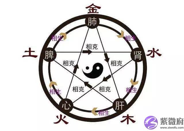 五行、 五脏、五腑、 五官、 五华、 五味、五色、 五情、五液和身体的调养全在这儿！