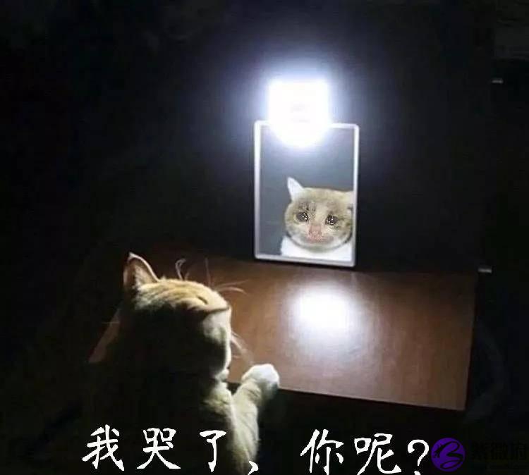 何猷君求婚,这也太土土土土了吧!