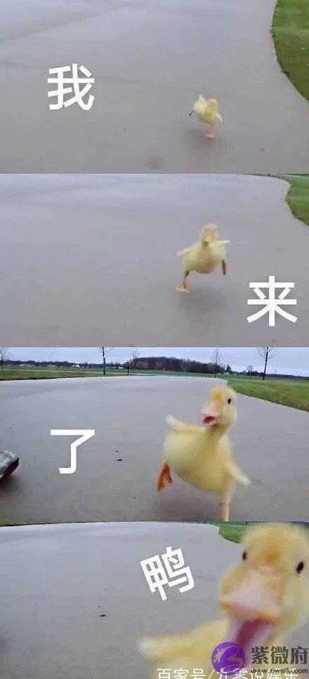 何猷君求婚,这也太土土土土了吧!