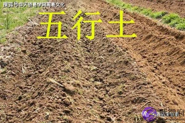 【行业五行属性查询表】教你分清工作的五行属性