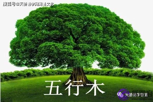 【行业五行属性查询表】教你分清工作的五行属性
