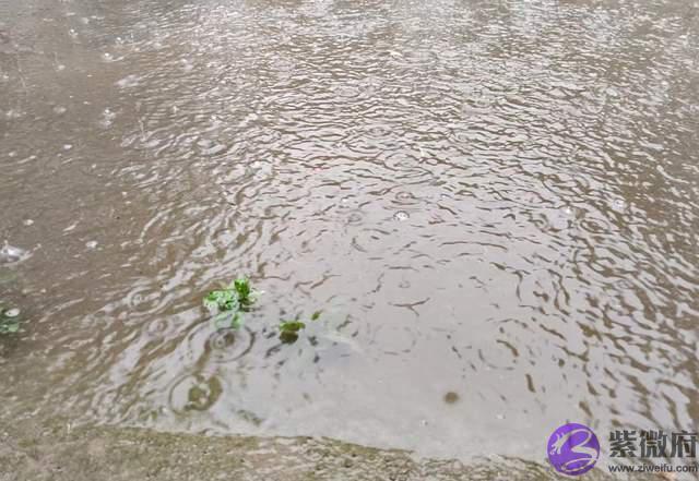 “大旱不过五月二十五”，为啥？五月二十五是什麽节日？会下雨吗