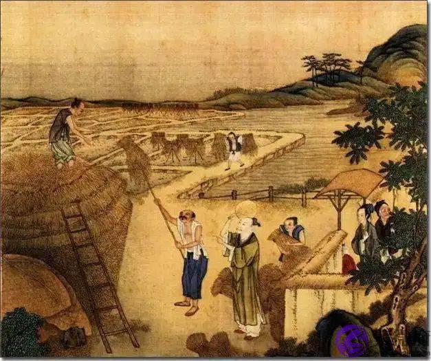“夏至五月端，年景恐有闪”是什麽意思？今年夏至在初还是在尾？