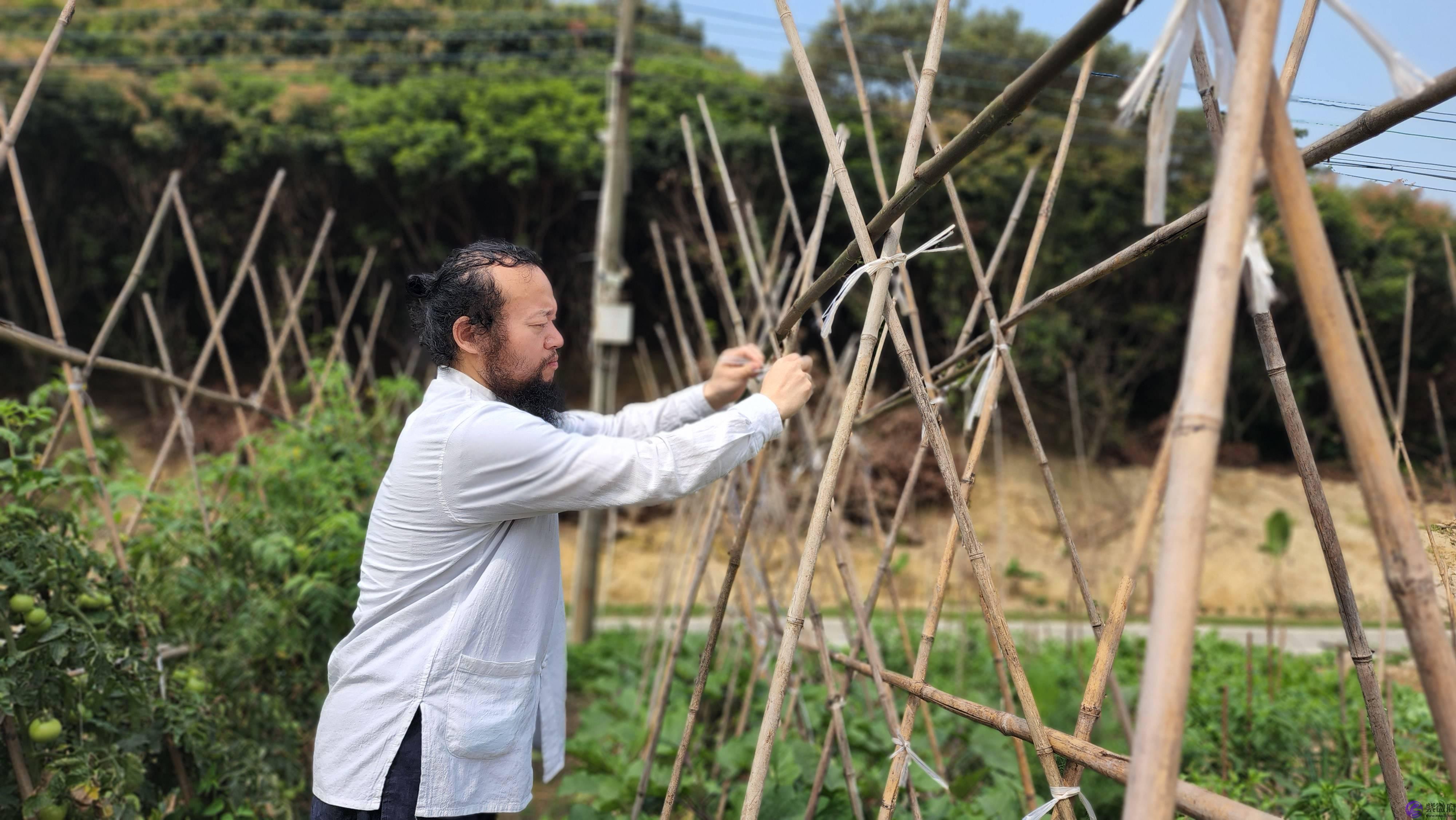 种生基当天一定要下雨吗，无量子：得水为上