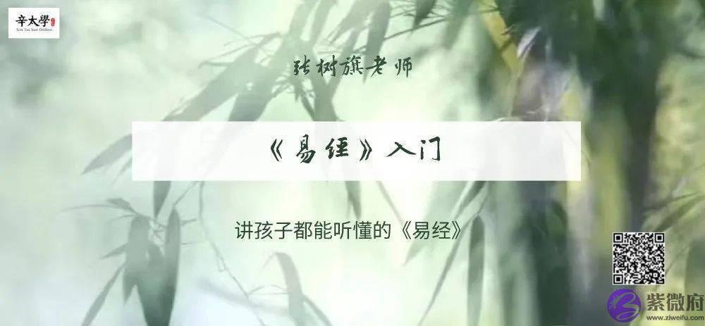 讲孩子都能听懂的《易经》 | 张树旗老师「《易经》入门」