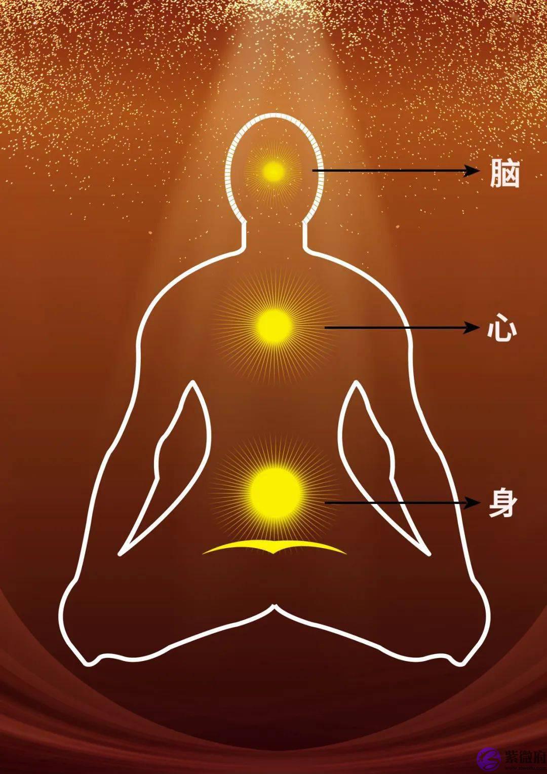 易经八卦，揭示了人类身心脑的根本规律！
