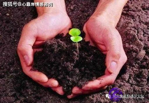 五行土命缺什麽？五行沙中土命缺什麽？
