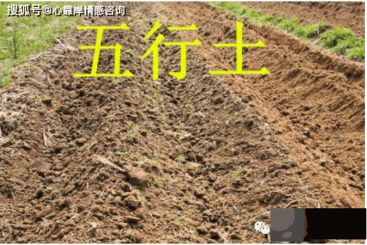 五行土命缺什麽？五行沙中土命缺什麽？