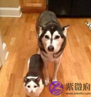幽默搞笑：同事喜得一子，他给他儿子取名为巅峰！