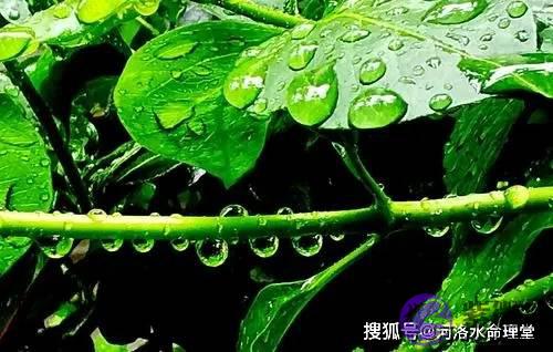 命理知识：癸水是什麽