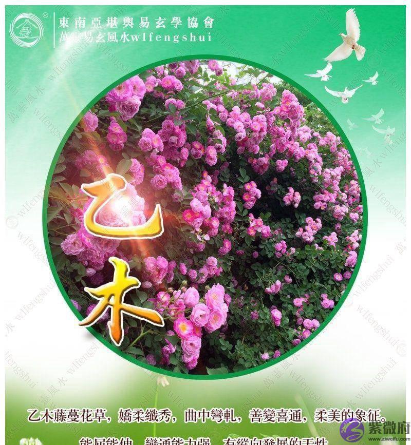 木命分六种，哪种木命的人运势最好呢？