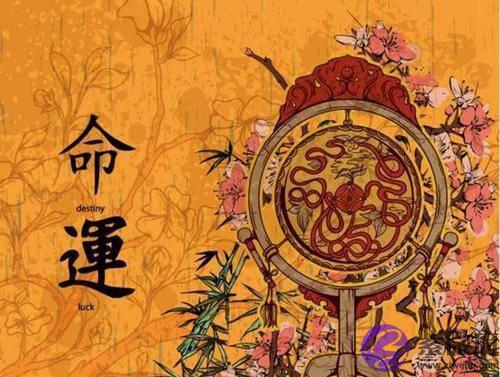 这3个生肖女，生男生女都有出息，长大后是首富命