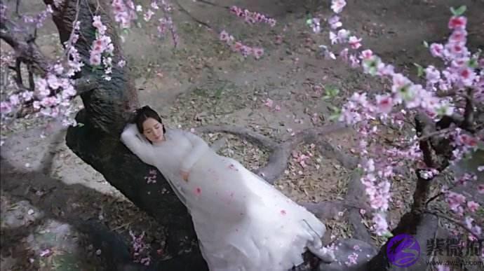 婚姻生辰看婚姻，生辰看你的婚姻还能维持到最后吗