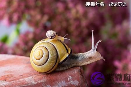 屋上土命的人财运好吗 屋上土命财运不好怎麽办