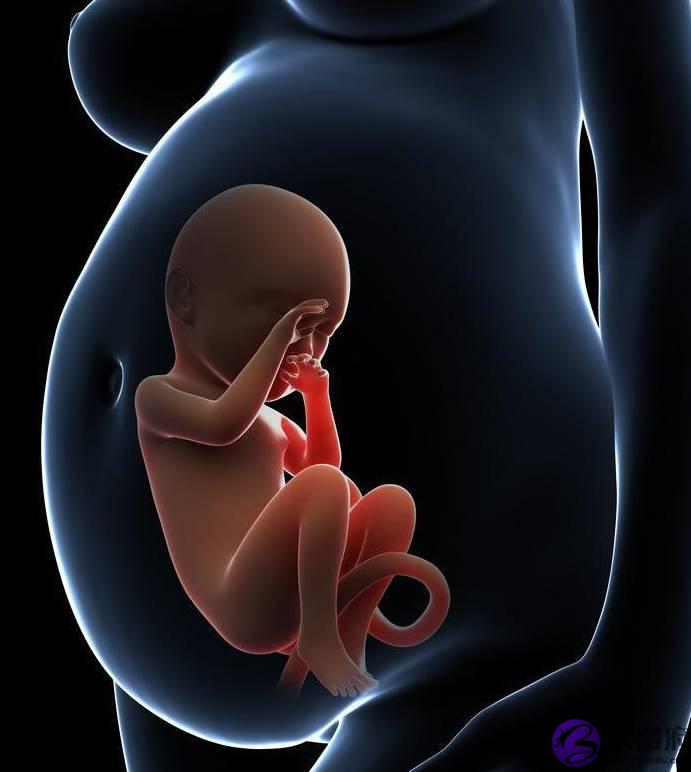 出生季节影响孩子智商,这两个月出生的娃更聪明,为什麽这样说呢