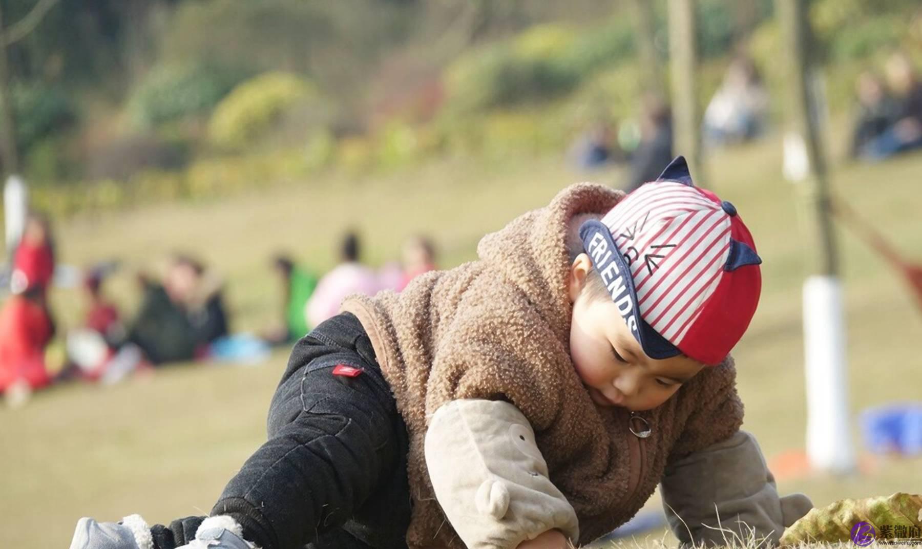 出生季节影响孩子智商,这两个月出生的娃更聪明,为什麽这样说呢