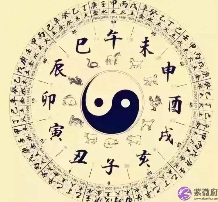 生辰预测中十二地支常用的物象——每天学易经015