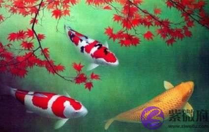 生辰生辰分析，迷茫是人生进步的良药，也当适量服用