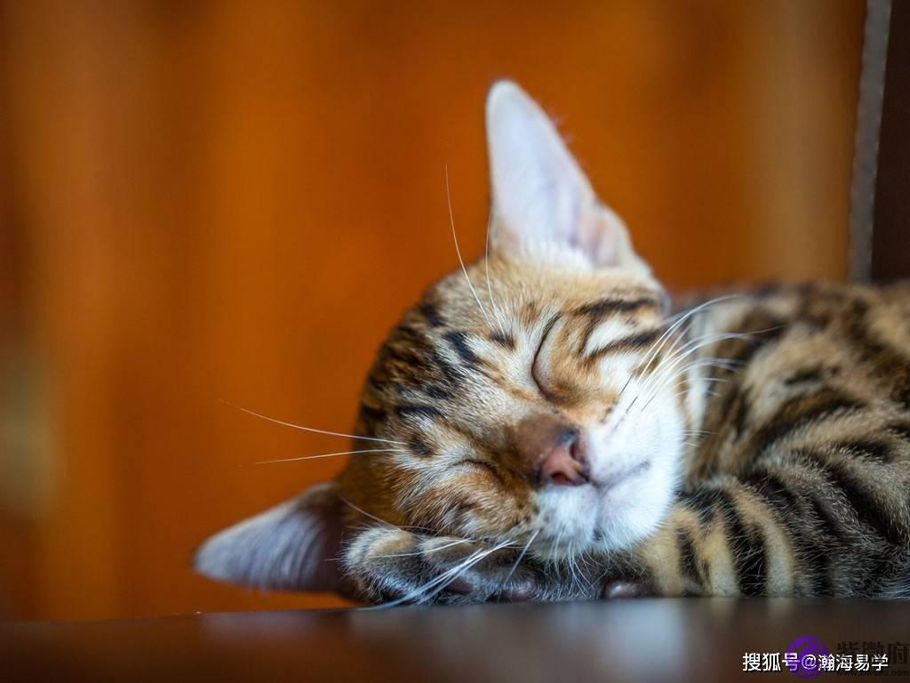 生辰：​论财常用断语