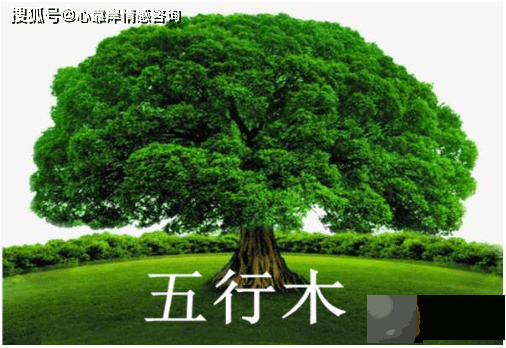 怎麽知道木命人五行缺什麽？