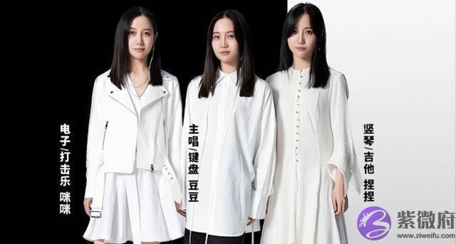 才火了一年，福禄寿乐队就把自己作没了