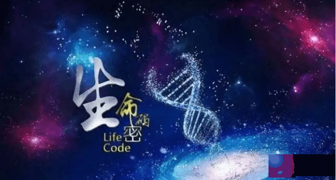 怎样才能让自己的运气好起来，陈汶茜教你怎麽改名字让自己变幸运