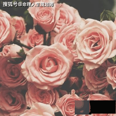 财运生辰看财运，未来的运势如何，财运会好吗