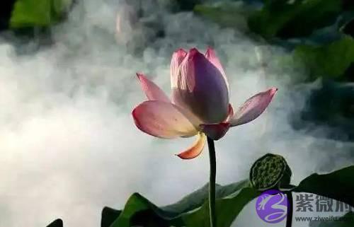 偏财为用，适合经商赚钱，但要选对时机