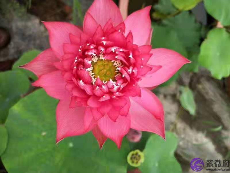 生死命例连环断，相同信息全家现