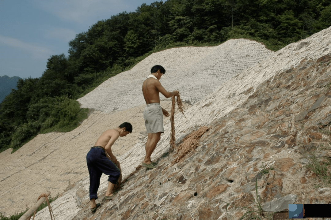 他在微拍堂“晒纸” 让宣纸“灵魂”焕发新活力