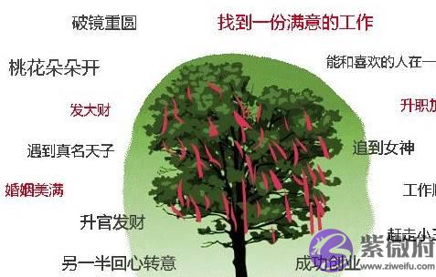 生日愿望能否实现？看小限