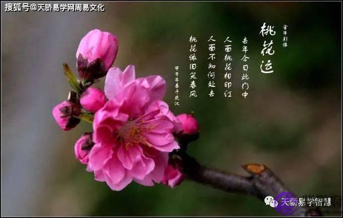 红鸾入命女命必嫁贵夫！怎麽知道红鸾星动了？