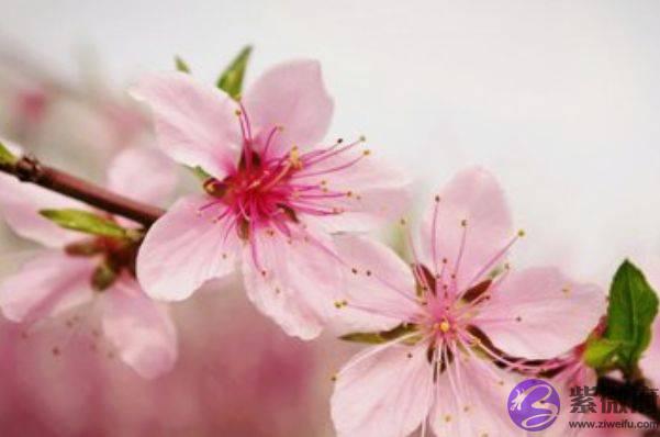 生肖马：出生月份与命运唇齿相依，以下4月出生注定是好命人