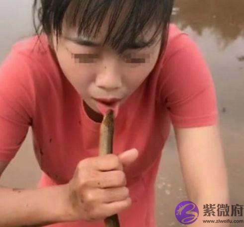 为什麽俗语说“七月蜂，八月蛇，九月的黄鳝惹不得”？