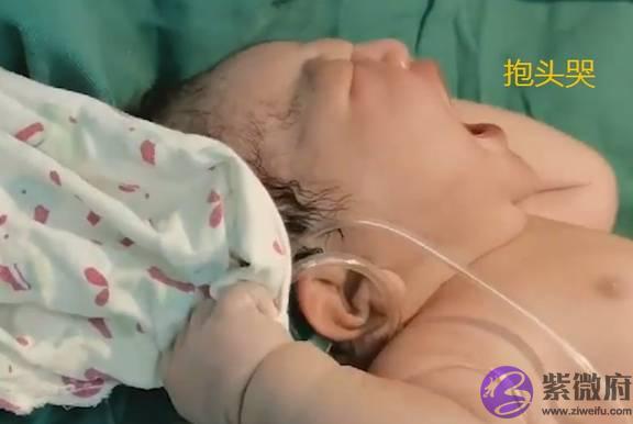 宝宝出生后“花式大哭”，一脸委屈和不满，不愿接受已出生的事实