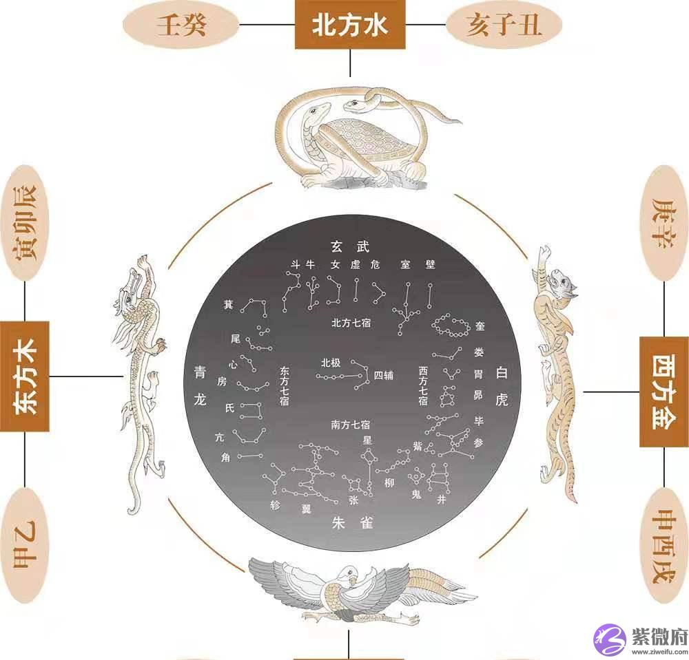 卜卦即可论断哪个脏器会生病？详解十天干，太佩服老祖宗的智慧了