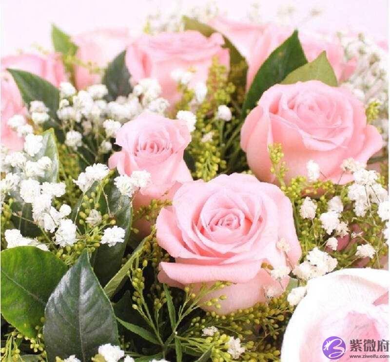 “十羊九不全”，这几个月出生的羊命最好，男富女贵，荣华富贵命