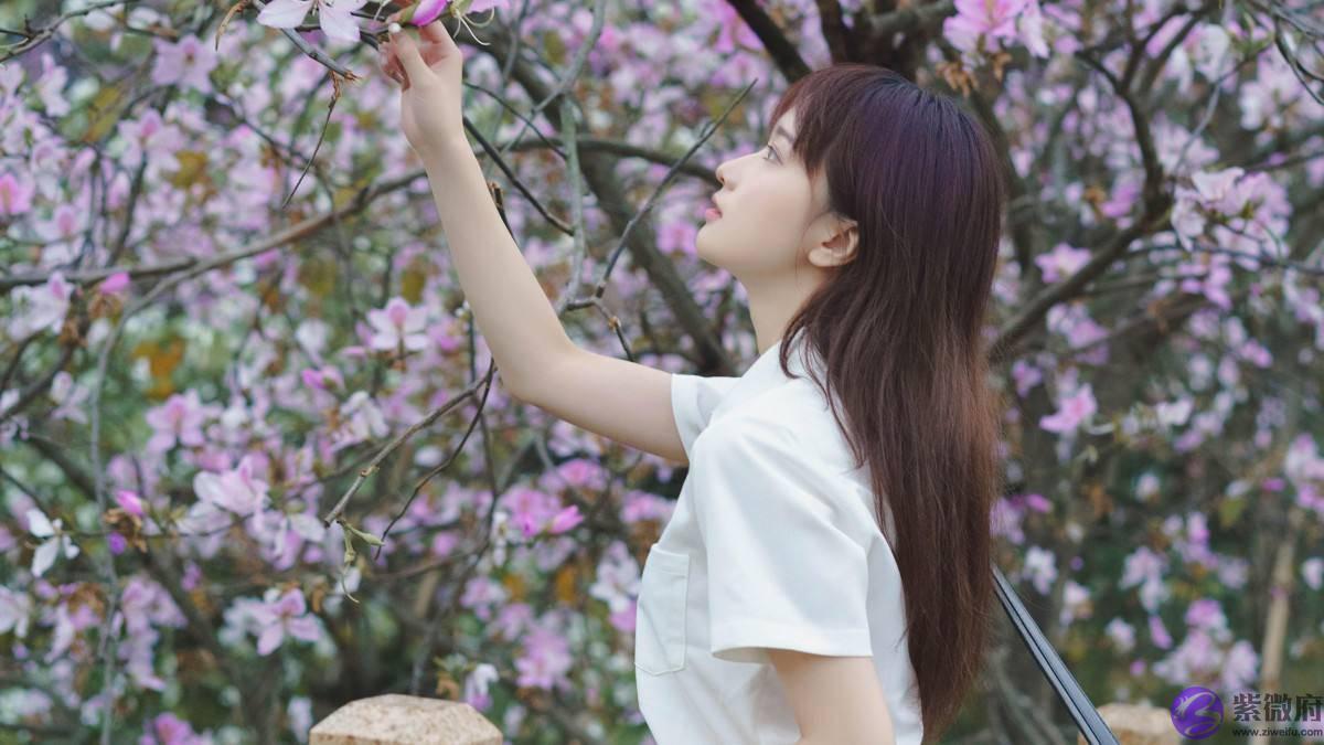 如果一个人真正的爱你