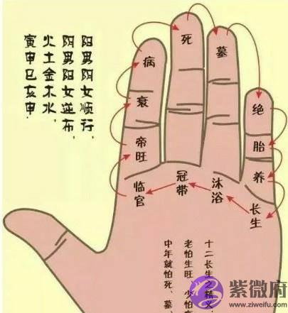 第十章 地支藏干和十二长生