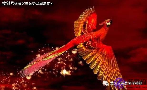 九天凤凰命格出生日：初四出生嫁入豪门变凤凰