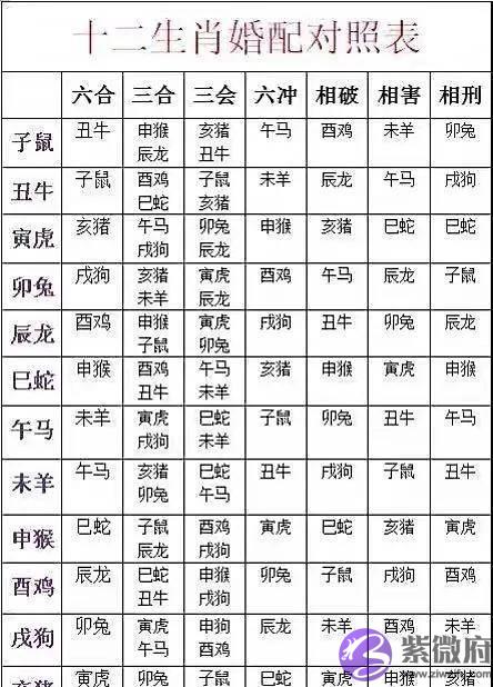 十二属相是如何分析合婚的？