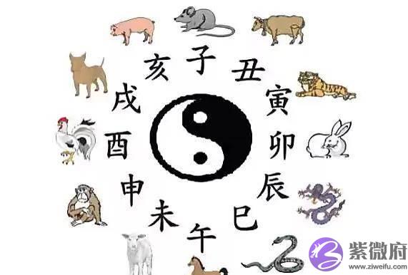 十二属相是如何分析合婚的？