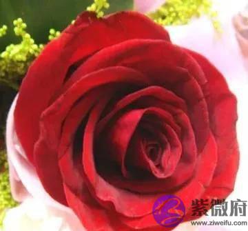 好运气，永远只会藏在你的实力里