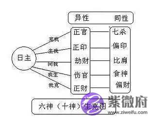 生辰十神——家族关系谱