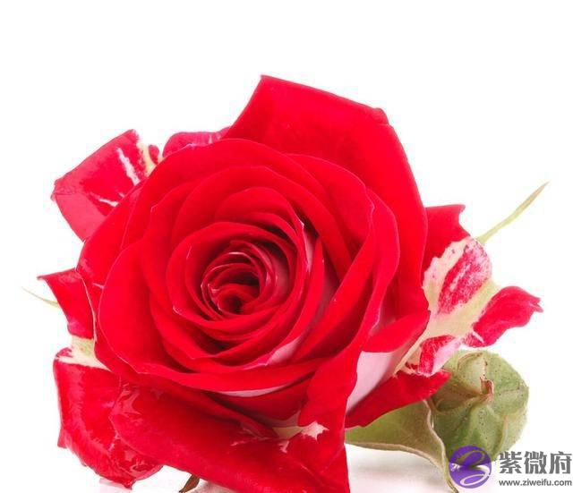 “越老越有女人味”的4生肖女，怎麽看怎麽美，让老公没有安全感