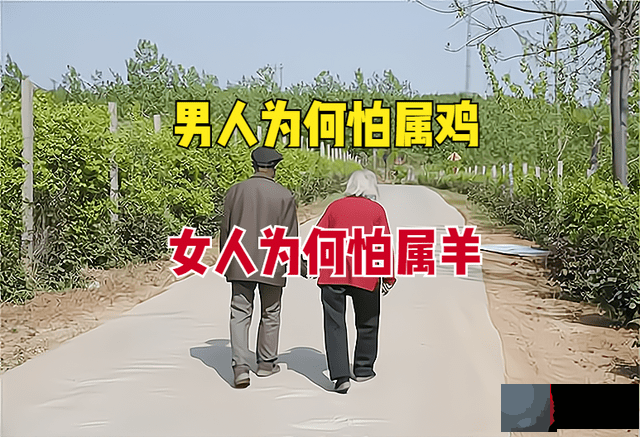 俗语“男怕属鸡，女怕属羊”，属鸡和属羊有啥说法？为何会怕？